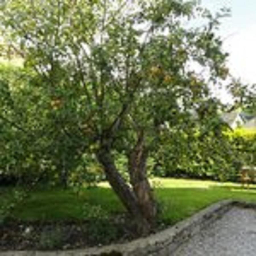 Cheshire House Guest House โฮป ภายนอก รูปภาพ